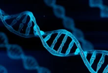 طريقة عملية ومبتكرة لاستخراج DNA الجينوم من الدم