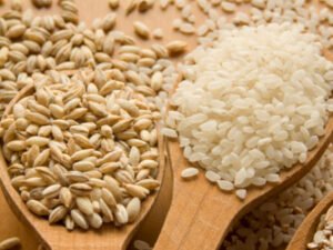 منشط طبيعي للقمح والذرة والأرز
