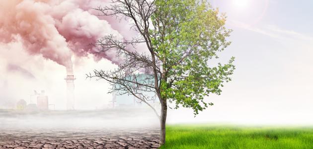البيئة تعريفها وخصائصها ودور الانسان وأشكال التلوث البيئي