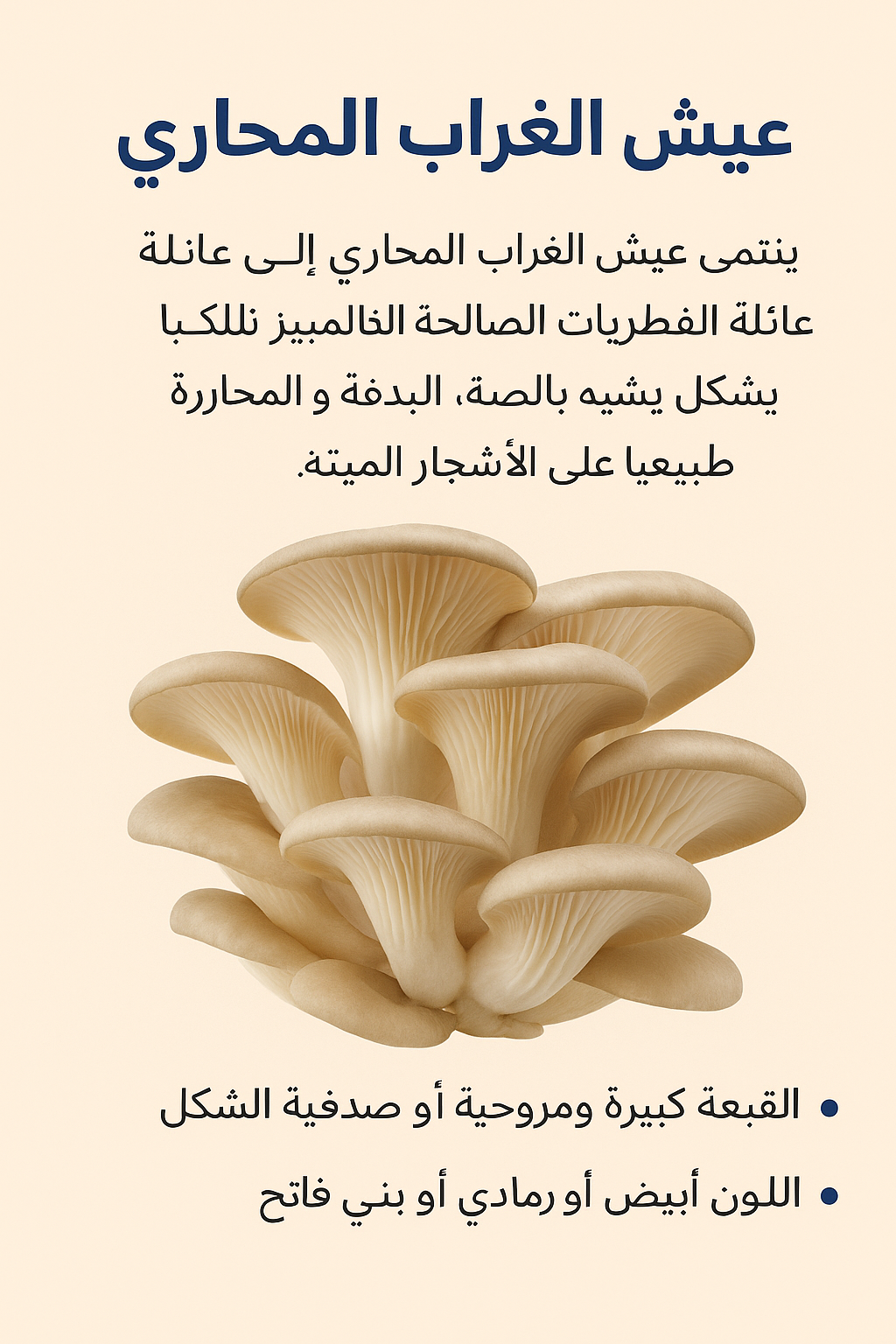 عيش الغراب المحاري: غذاء صحي وفوائد مذهلة