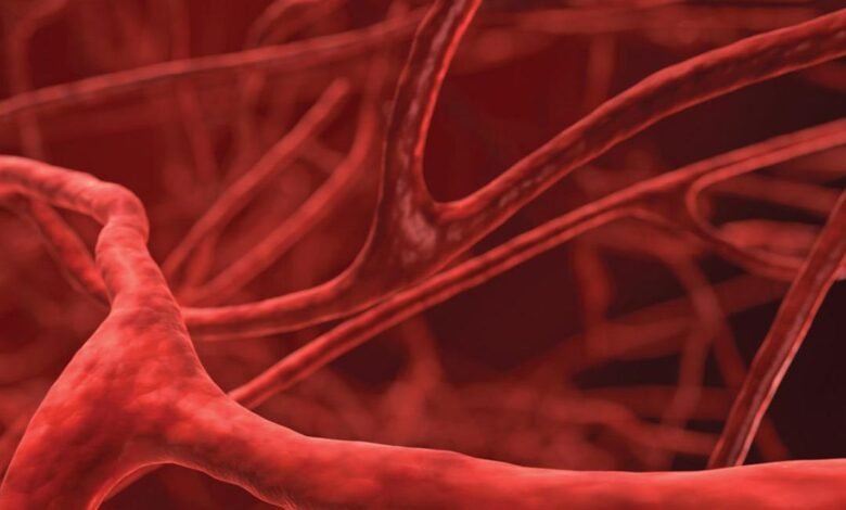 تقنية مبتكرة تسمح بالتقاط صور الأوعية الدموية بمقاييس مكانية