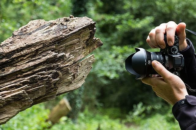 يوسف أبو العلا.. موهبة مصرية واعدة في عالم التصوير الفوتوغرافي