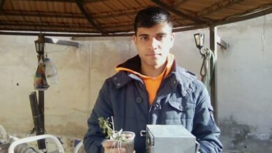 المبتكر السوري "فايز إسماعيل" يبهر العالم بجهاز لتوليد الكهرباء من جذوع وأوراق النبات