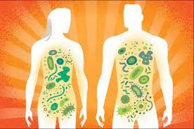 "الميكروبيوتا البشرية".. كائنات حية داخل جسمك!