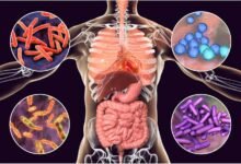 "الميكروبيوتا البشرية".. كائنات حية داخل جسمك!