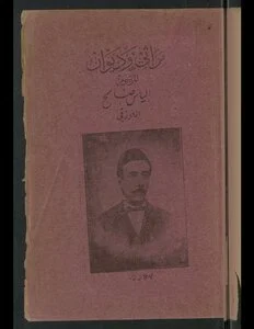 كان إلياس صالح يعرف اللغة الإنكليزية معرفة جيدة؛ ترجمة وكتابة، ويحسن الفرنسوية، وكثيرًا ما عرَّب قصائد إنكليزية فنظمها في العربية