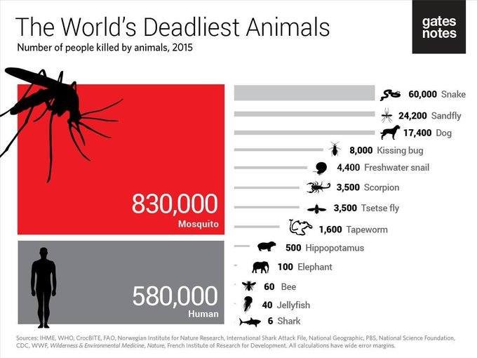 الحشرات القاتلة تتفوّق على الحيوانات الكبيرة في القتل