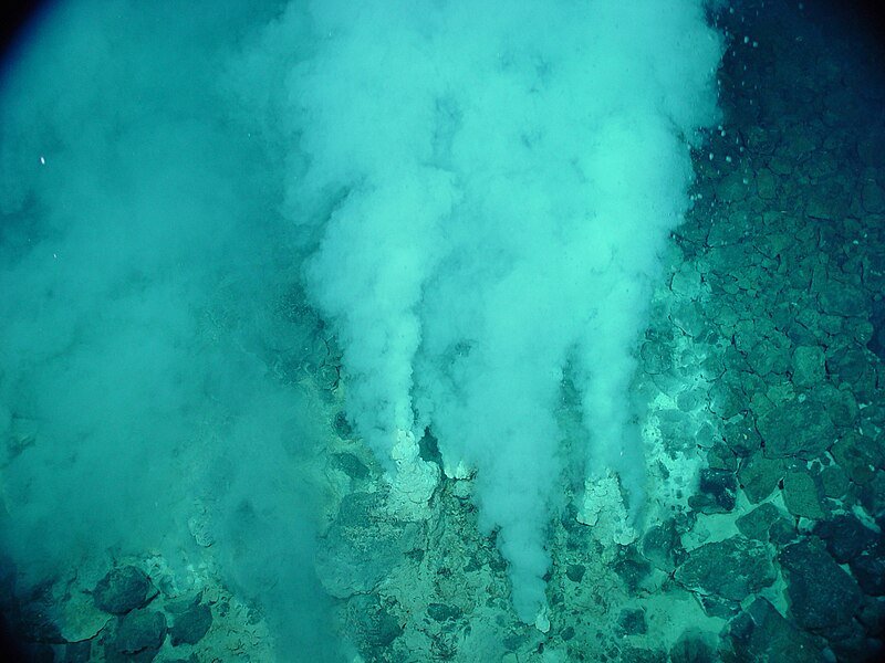 جامعة الملك عبد الله للعلوم والتقنية تكتشف أول فوهة مائية حرارية في البحر الأحمر
