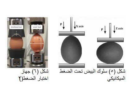 البناء بدون أسمنت باستخدام تصميم الطوبة الداخلية والخارجية