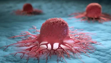 أمل جديد في مكافحة السرطان: اكتشاف طريقة ثورية للقضاء على الخلايا السرطانية