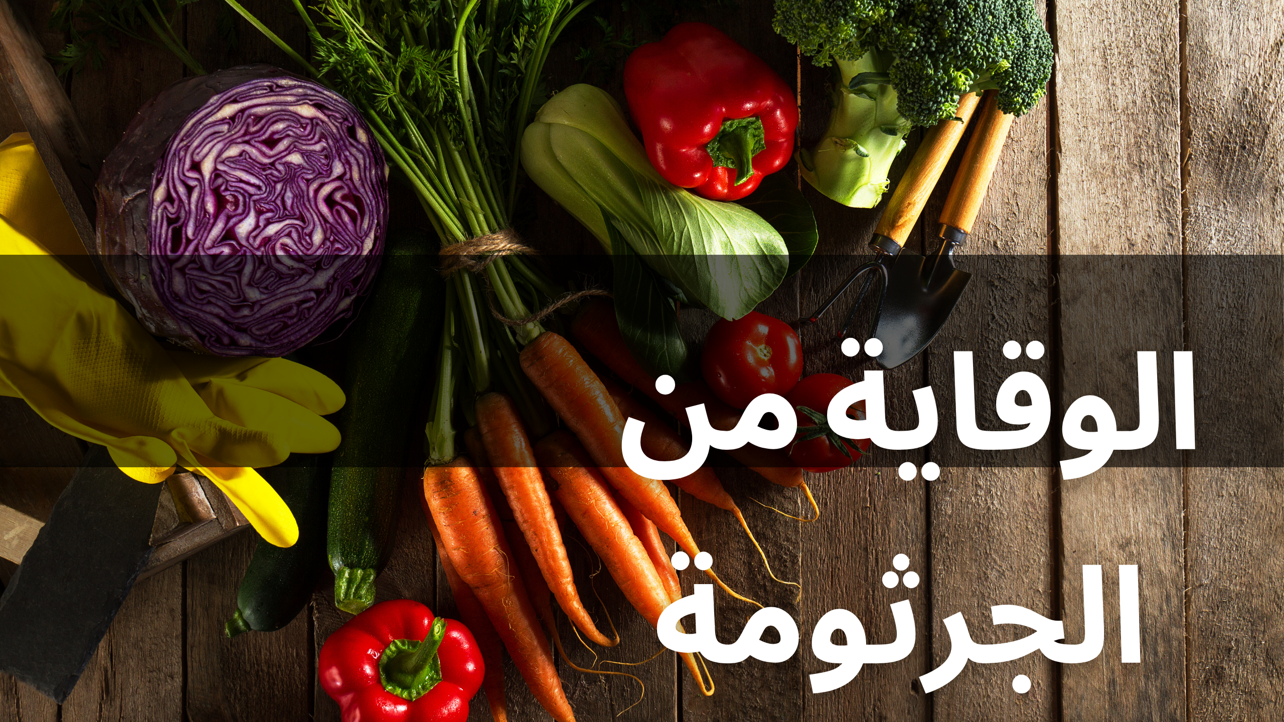 الدعم الغذائي أثناء العلاج