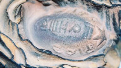 الحجر السليماني