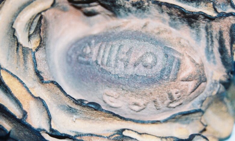 الحجر السليماني