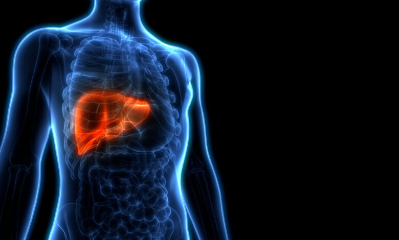 العلاج الشامل لارتفاع سكر الدم ودهون الكبد